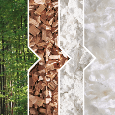 Tencel process — eucalyptus wood to fibre