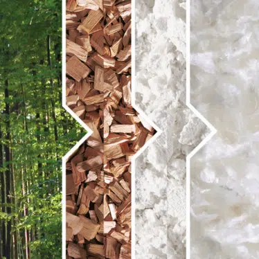 Tencel process — eucalyptus to fibre